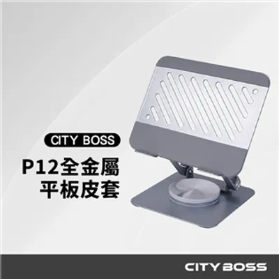 P12 合金旋轉/折疊平板支架